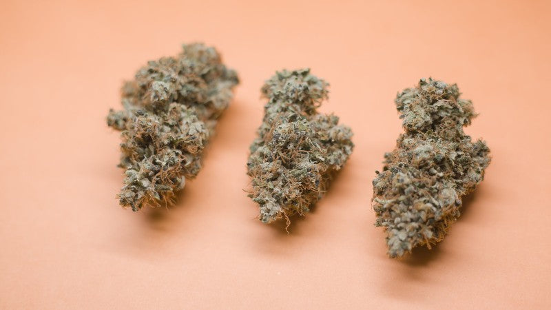 Miss Kim's Hybrid - Popcorn Buds Cannabis 3g | Dis-can Johannesburg - image 1