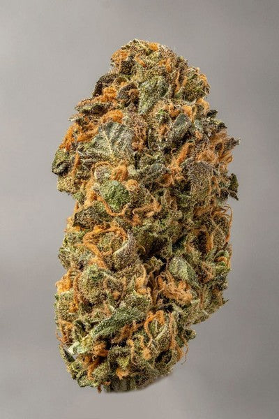 Mokum Tulip Hybrid - Tunnel Cannabis 1g | Dis-can Johannesburg - image 1