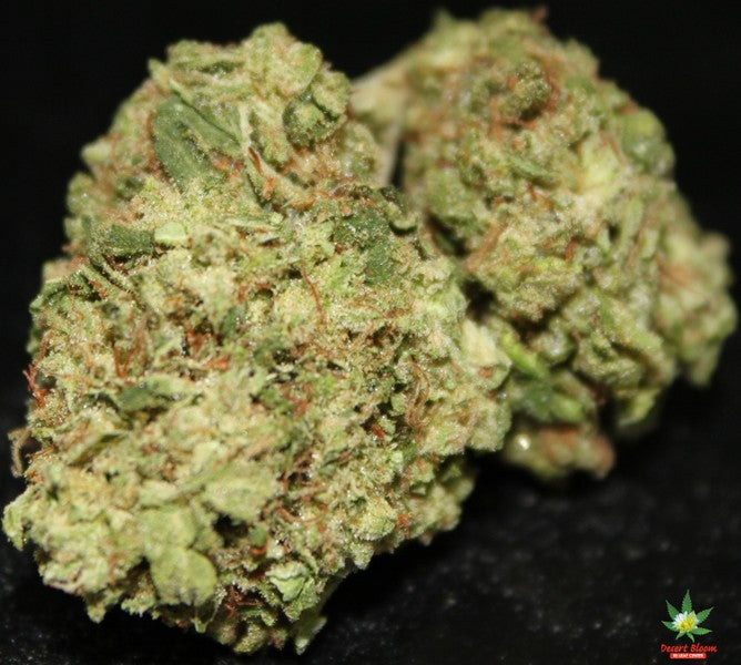 New York City Diesel Hybrid - Indoor AAA Cannabis 20g | Dis-can Johannesburg - image 1
