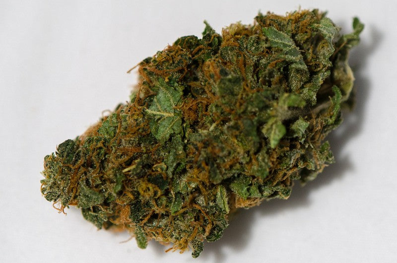 New York City Diesel Hybrid - Indoor AAA Cannabis 20g | Dis-can Johannesburg