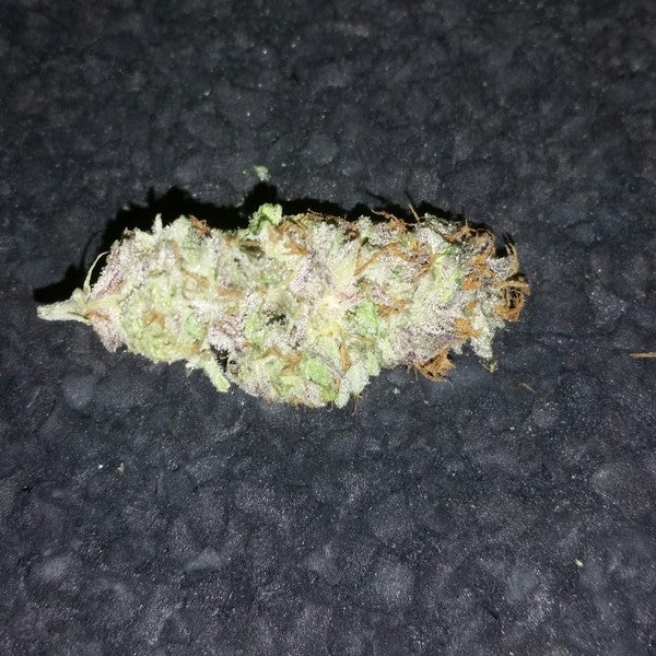 New York City Diesel Hybrid - Indoor AAA Cannabis 20g | Dis-can Johannesburg