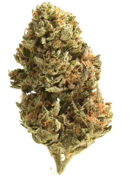 Nola Monsoon Hybrid - Indoor AAA Cannabis 1g | Dis-can Johannesburg