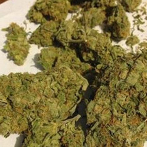OCD Pops Hybrid - Popcorn Buds Cannabis 1g | Dis-can Johannesburg - image 1