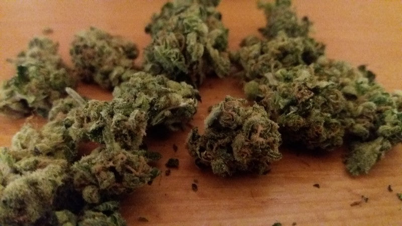 OG Cheese Hybrid - Tunnel Cannabis 3g | Dis-can Johannesburg - image 3