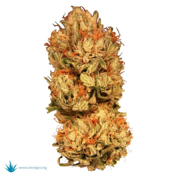 OG Snoop Dog Hybrid - Indoor AAA Cannabis 20g | Dis-can Johannesburg - image 1