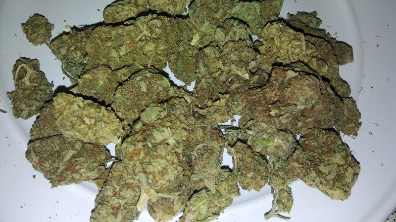Orange Cookies Hybrid - Popcorn Buds Cannabis 3g | Dis-can Johannesburg - image 3