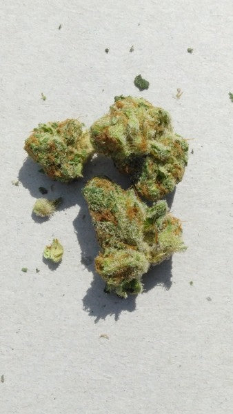 Orange Cookies Hybrid - Popcorn Buds Cannabis 3g | Dis-can Johannesburg - image 4