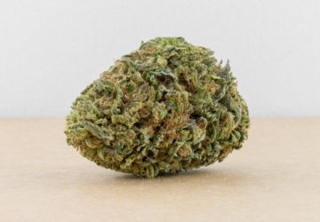 Orange Cookies Hybrid - Popcorn Buds Cannabis 3g | Dis-can Johannesburg - image 7
