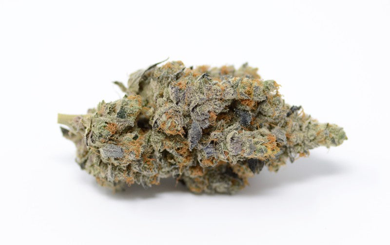 Orange Cookies Hybrid - Popcorn Buds Cannabis 3g | Dis-can Johannesburg - image 8