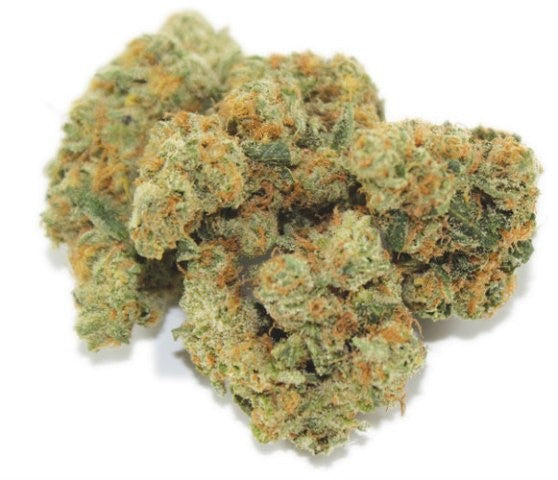 Orange Cookies Hybrid - Popcorn Buds Cannabis 3g | Dis-can Johannesburg - image 10
