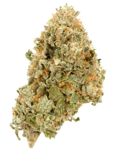 Orange Gas Cream Hybrid - Indoor AAA Cannabis 20g | Dis-can Johannesburg - image 2