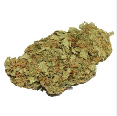 Orangina Hybrid - Indoor AAA Cannabis 20g | Dis-can Johannesburg - image 1