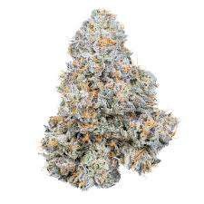 Permanent Marker Hybrid - Indoor AAA Cannabis 20g | Dis-can Johannesburg - image 1