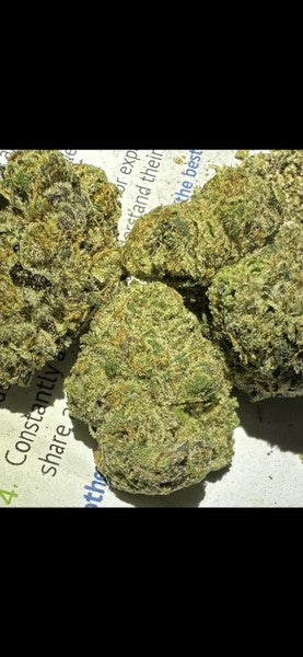 Permanent Marker Hybrid - Indoor AAA Cannabis 20g | Dis-can Johannesburg - image 2