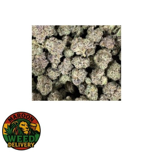 Permanent Marker Hybrid - Indoor AAA Cannabis 20g | Dis-can Johannesburg - image 5