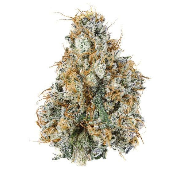 Permanent Marker Hybrid - Indoor AAA Cannabis 20g | Dis-can Johannesburg - image 6