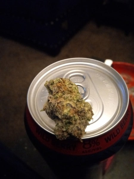 Permanent Marker Hybrid - Indoor AAA Cannabis 20g | Dis-can Johannesburg - image 8