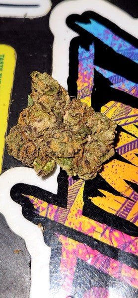 Permanent Marker Hybrid - Indoor AAA Cannabis 20g | Dis-can Johannesburg - image 9