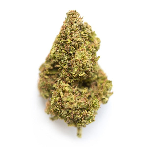 Permanent Marker Hybrid - Indoor AAA Cannabis 20g | Dis-can Johannesburg - image 10