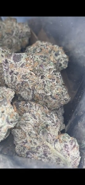 Permanent Marker Hybrid - Indoor AAA Cannabis 20g | Dis-can Johannesburg - image 11