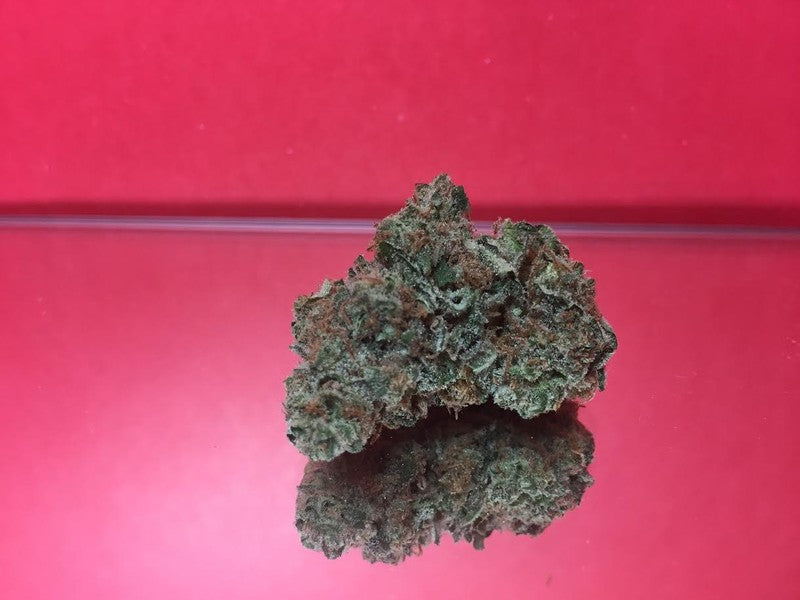 Pine Xpress Hybrid - Greenhouse Cannabis 5g | Dis-can Johannesburg - image 2