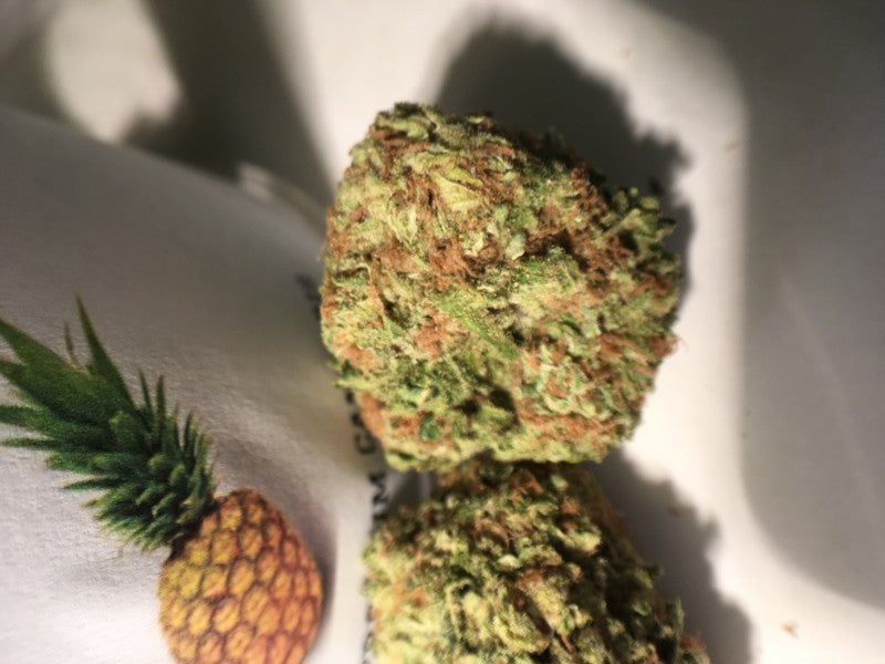 Pine Xpress Hybrid - Greenhouse Cannabis 5g | Dis-can Johannesburg - image 4