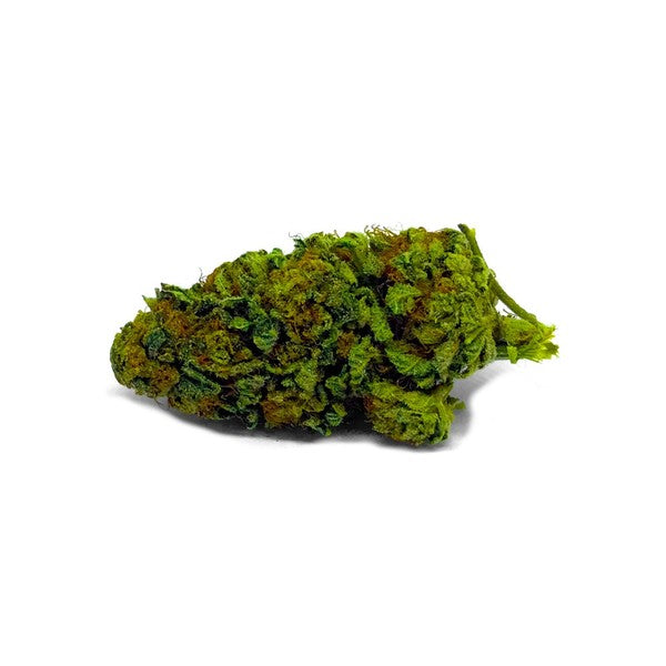 Pine Xpress Hybrid - Greenhouse Cannabis 5g | Dis-can Johannesburg - image 5