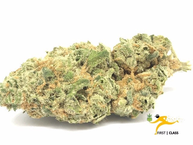 Pine Xpress Hybrid - Greenhouse Cannabis 5g | Dis-can Johannesburg - image 6