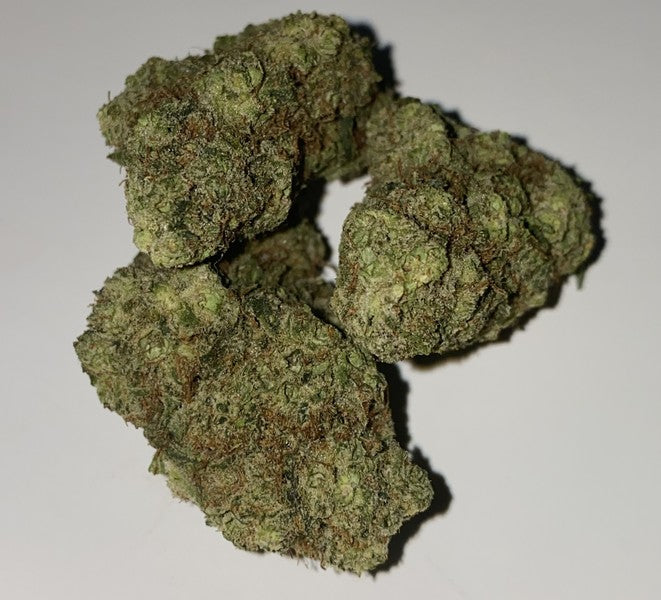 Pine Xpress Hybrid - Greenhouse Cannabis 5g | Dis-can Johannesburg - image 8