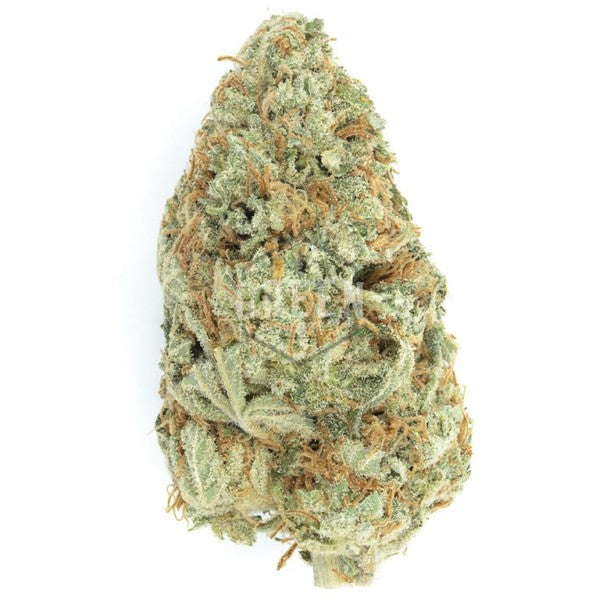 Pine Xpress Hybrid - Greenhouse Cannabis 5g | Dis-can Johannesburg - image 9