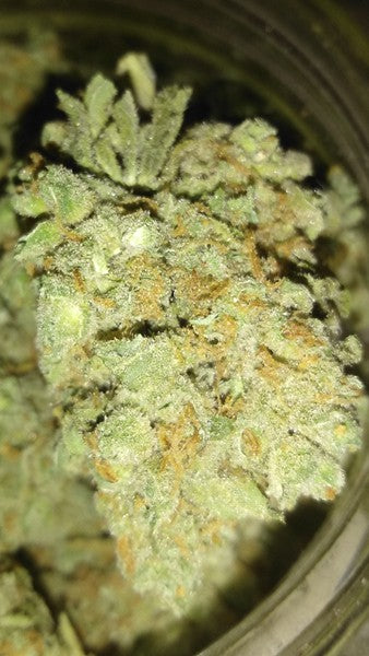 Pine Xpress Hybrid - Greenhouse Cannabis 5g | Dis-can Johannesburg - image 12