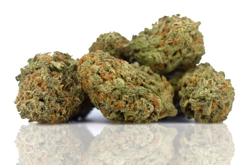 Pine Xpress Hybrid - Greenhouse Cannabis 5g | Dis-can Johannesburg - image 13