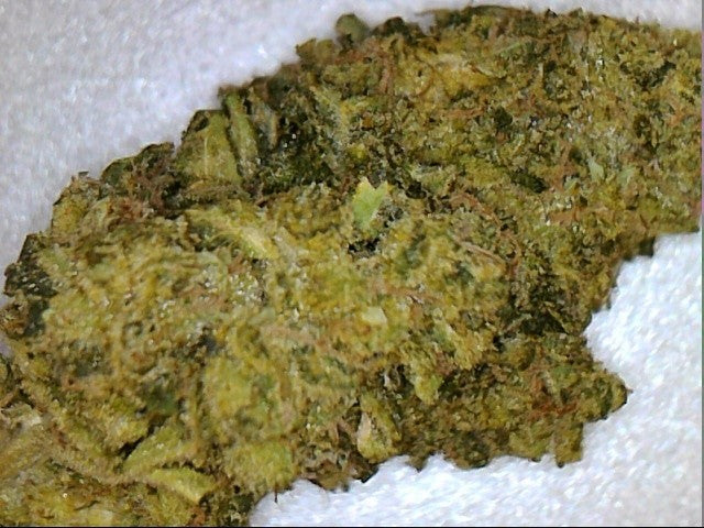 Pine Xpress Hybrid - Greenhouse Cannabis 5g | Dis-can Johannesburg - image 19
