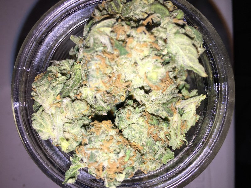 Pine Xpress Hybrid - Greenhouse Cannabis 5g | Dis-can Johannesburg - image 20