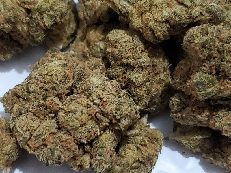 Pine Xpress Hybrid - Greenhouse Cannabis 5g | Dis-can Johannesburg - image 22
