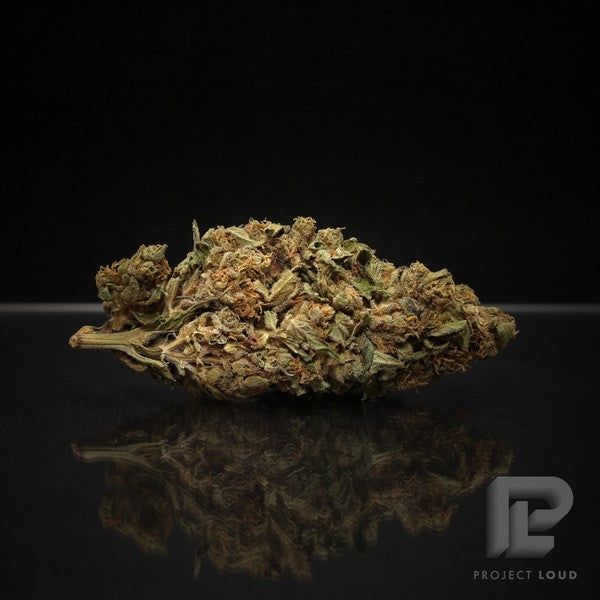 Pine Xpress Hybrid - Greenhouse Cannabis 5g | Dis-can Johannesburg - image 25