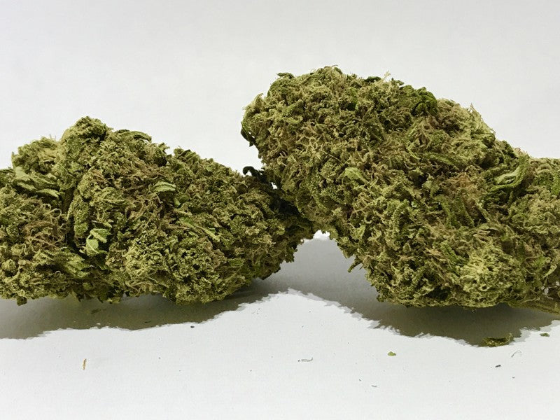 Pine Xpress Hybrid - Greenhouse Cannabis 5g | Dis-can Johannesburg - image 26