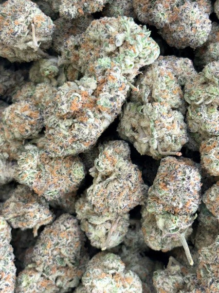 Pine Xpress Hybrid - Greenhouse Cannabis 5g | Dis-can Johannesburg - image 29