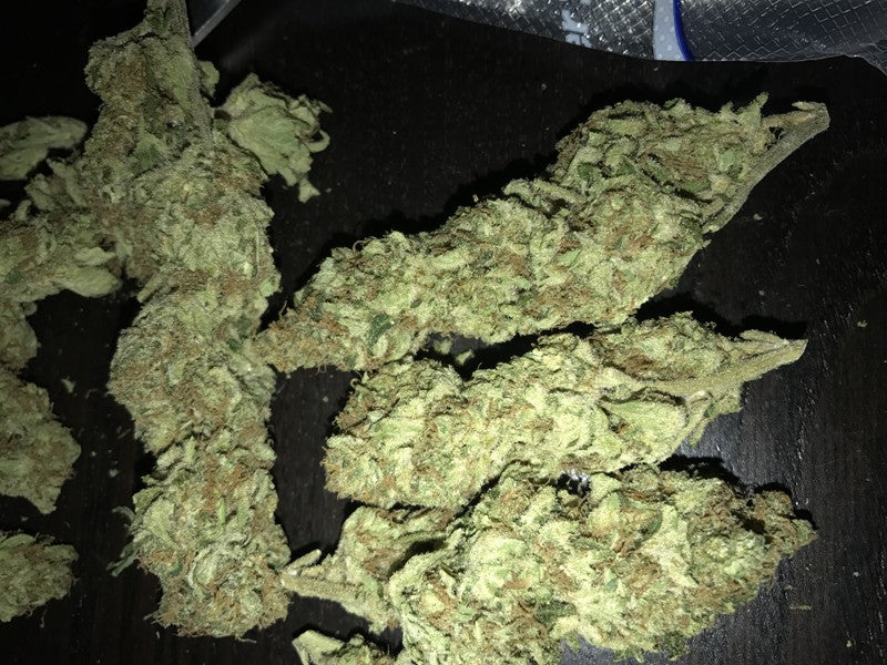 Pine Xpress Hybrid - Greenhouse Cannabis 5g | Dis-can Johannesburg - image 32
