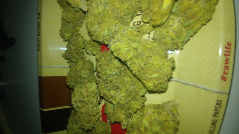 Pine Xpress Hybrid - Greenhouse Cannabis 5g | Dis-can Johannesburg - image 35
