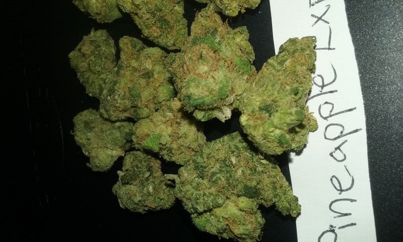 Pine Xpress Hybrid - Greenhouse Cannabis 5g | Dis-can Johannesburg - image 36