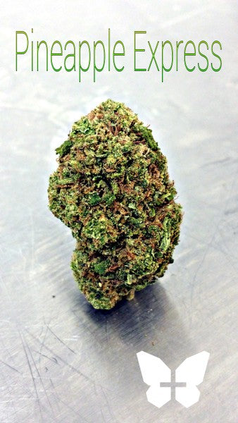Pine Xpress Hybrid - Greenhouse Cannabis 5g | Dis-can Johannesburg - image 39