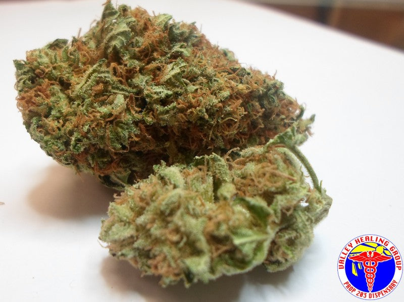 Pine Xpress Hybrid - Greenhouse Cannabis 5g | Dis-can Johannesburg - image 40