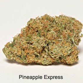 Pine Xpress Hybrid - Greenhouse Cannabis 5g | Dis-can Johannesburg - image 45