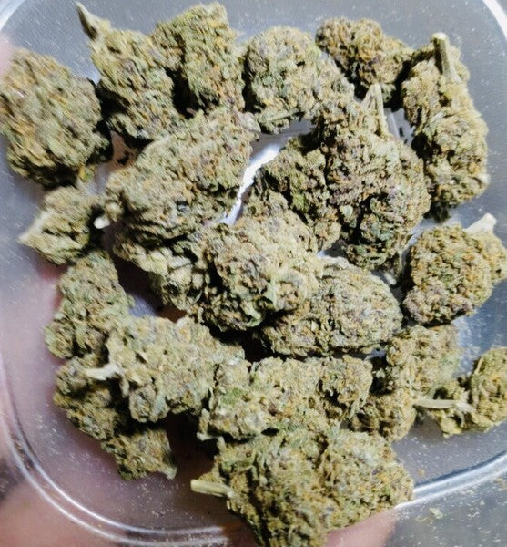 Pink Rosey Hybrid - Indoor AAA Cannabis 5g | Dis-can Johannesburg