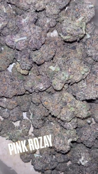 Pink Rosey Hybrid - Indoor AAA Cannabis 5g | Dis-can Johannesburg - image 4