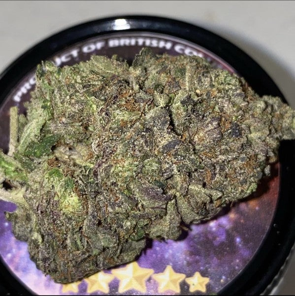 Pink Runtz Thai Hybrid - Indoor AAA Cannabis 10g | Dis-can Johannesburg - image 1