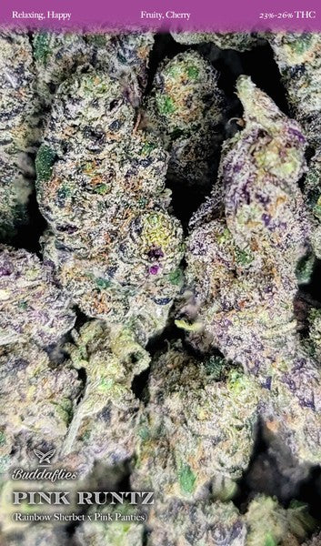 Pink Runtz Thai Hybrid - Indoor AAA Cannabis 10g | Dis-can Johannesburg
