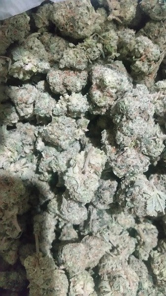 Platinum Cookies Hybrid - Greenhouse Cannabis 10g | Dis-can Johannesburg - image 1