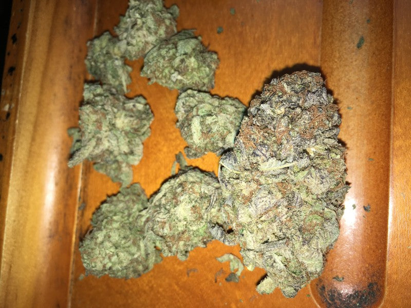 Platinum Cookies Hybrid - Greenhouse Cannabis 10g | Dis-can Johannesburg - image 2